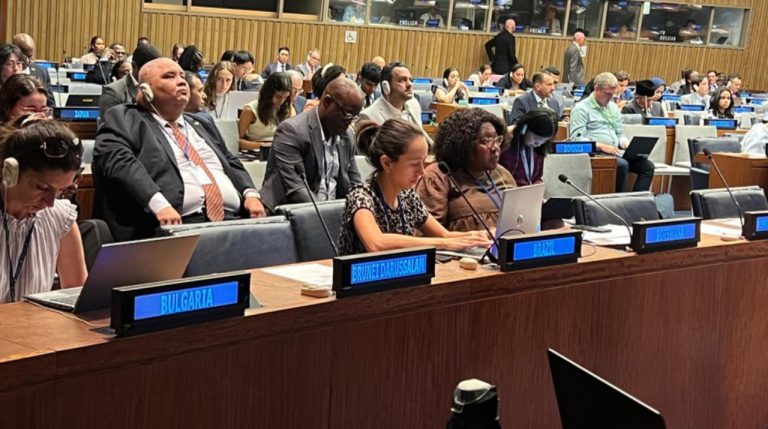 Brasil debate ante la ONU el uso de infraestructura de transporte resiliente