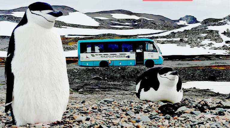 Presentan primer bus eléctrico para la Antártica
