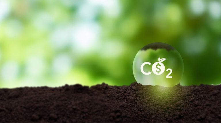 Zeroca: Impulsando el Futuro Sostenible