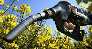 Biofuels in Colombia