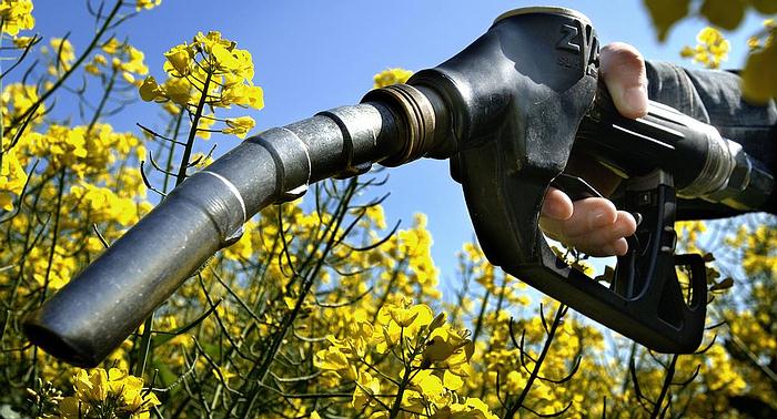Biofuels in Colombia