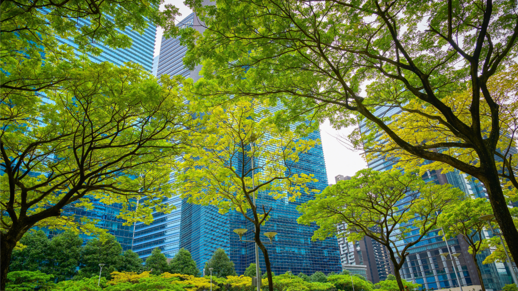 Brasil aprova texto-base do programa “Cidades Verdes Resilientes” com metas para impulsionar a mobilidade a pé e ônibus não poluentes