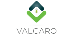 Valgaro.png